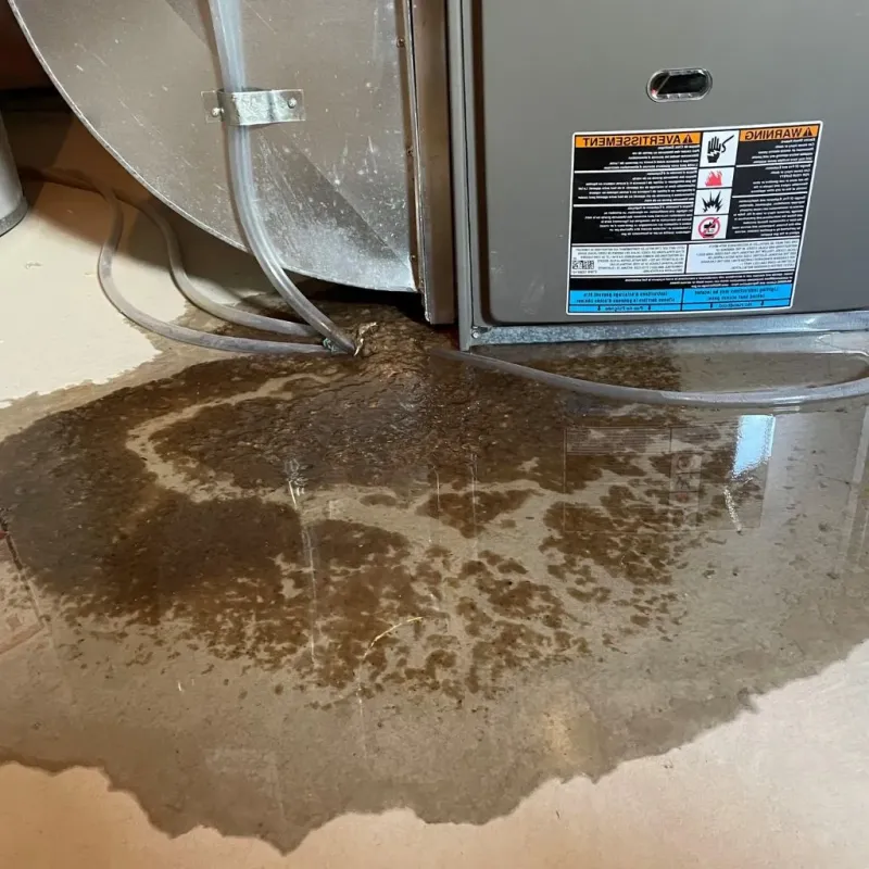 Pipe Burst and Leak Restoration in Interlaken, CA