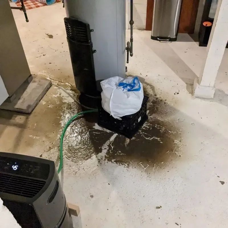 Sewage Backup Cleanup Service in Interlaken, CA